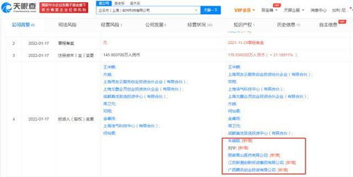信息系統(tǒng)集成服務(wù)的核心價值與發(fā)展趨勢